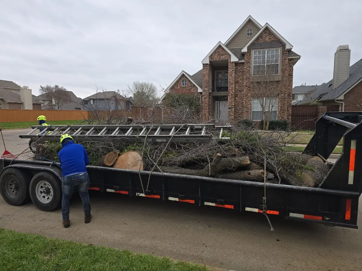 Expert Lot Clearing with proper safety equipment in River Ranch